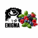 Табак Enigma Symphony 6 (Ягоды, базилик) 100 г